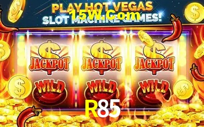 R85 - Customer Support